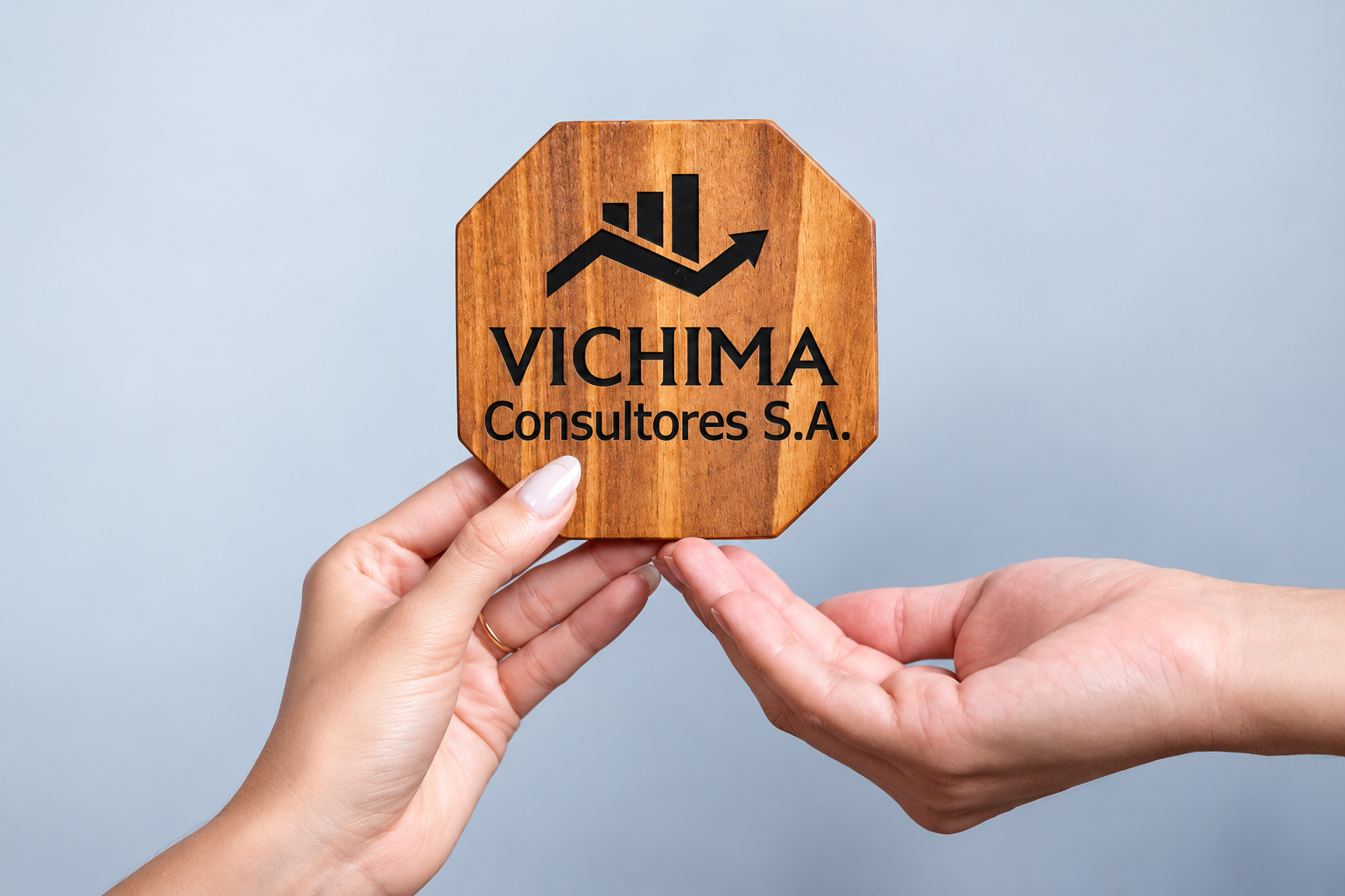 Vichima Consultores Estrategia